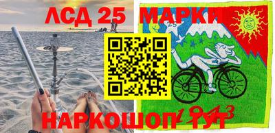 спиды Кимры