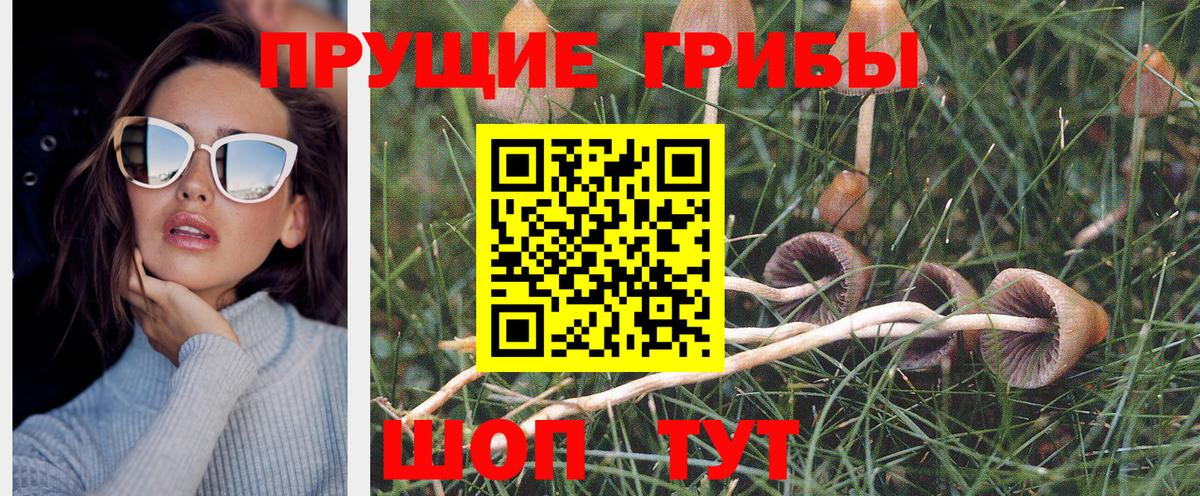 Псилоцибиновые грибы прущие грибы Энгельс