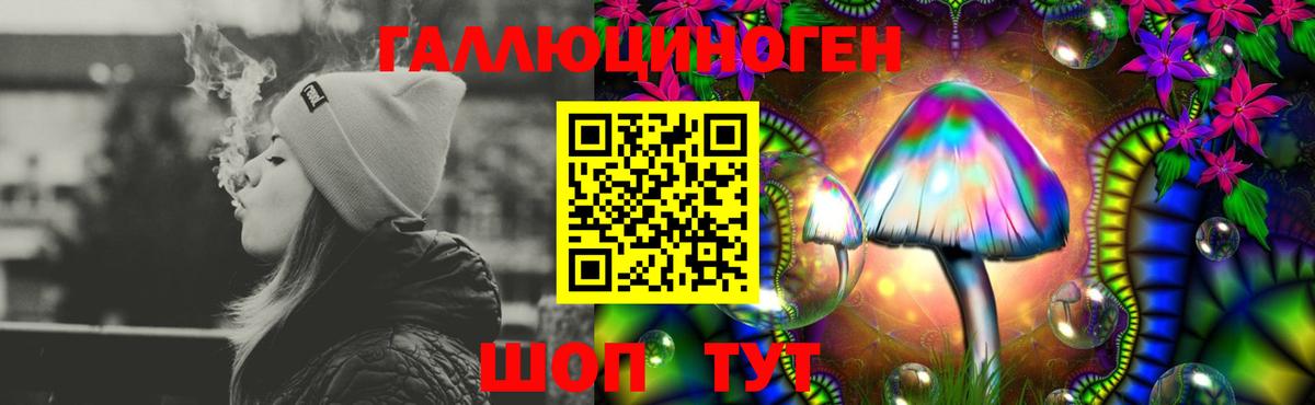 Энгельс  Псилоцибиновые грибы Psilocybe  Вход с VPN  Галлюциногенные грибы мицелий 